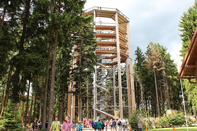 Apartman Lipno A12 Lipno nad Vltavou Luaran gambar